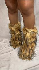Cozy